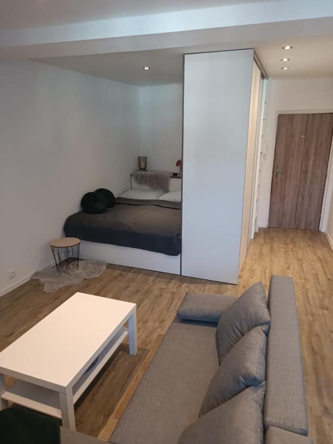 Sky Thermal Apartment Karlsbad Exterior foto